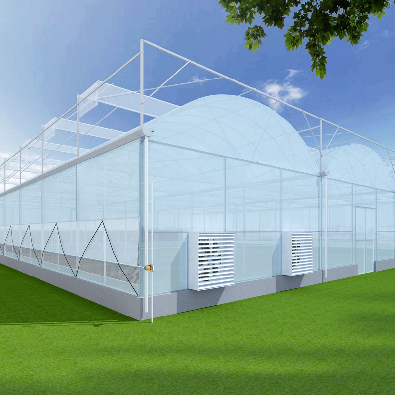 china film greenhouse