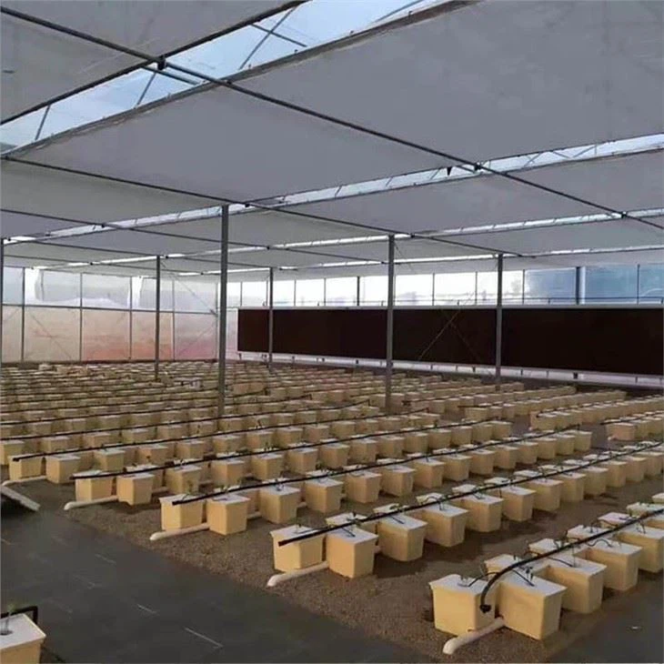 Bato Dutch Bucket For Greenhouse Substrate