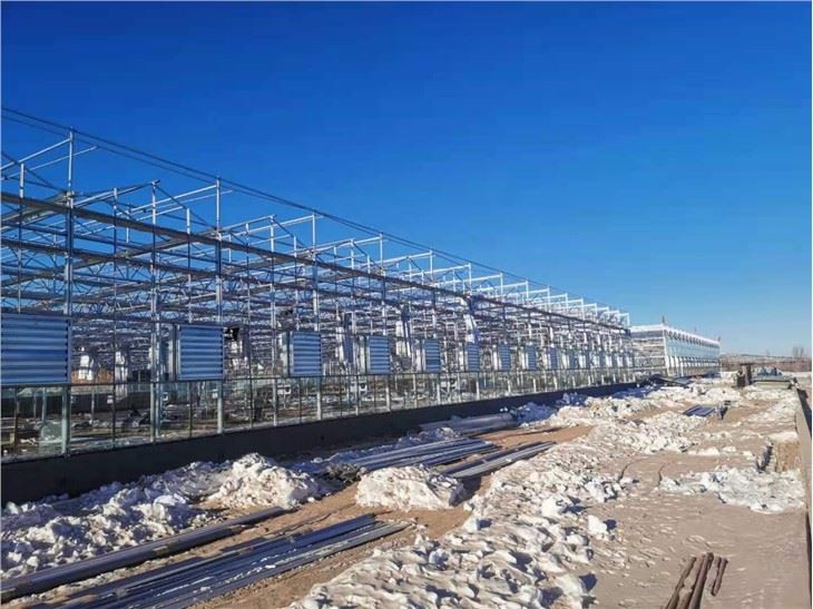 Greenhouse Steel Structure Frame Skeleton