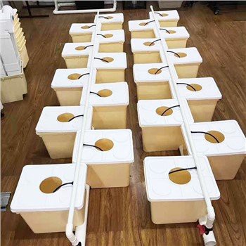 Barmil Olandiż Kabbar Hydroponics