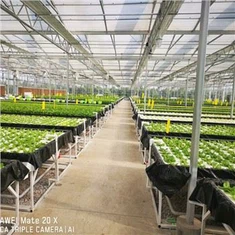 Sistema NFT galleġġjanti Għall-Ħass