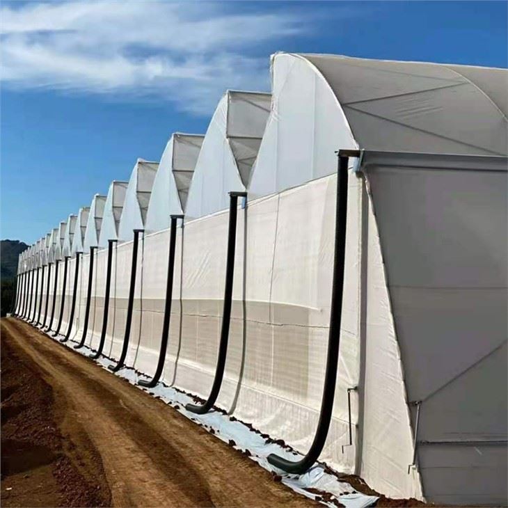 Serra tal-Films Tropikali Multi Span