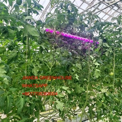 Tqabbil tal-vantaġġi tat-tadam miġbur bil-magni u t-tadam maħsud manwali