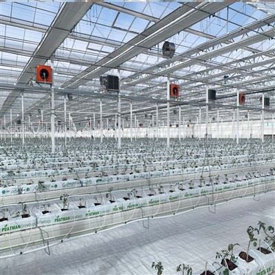 2025 agrikolu u rurali nazzjonali u industrija standard proġett
