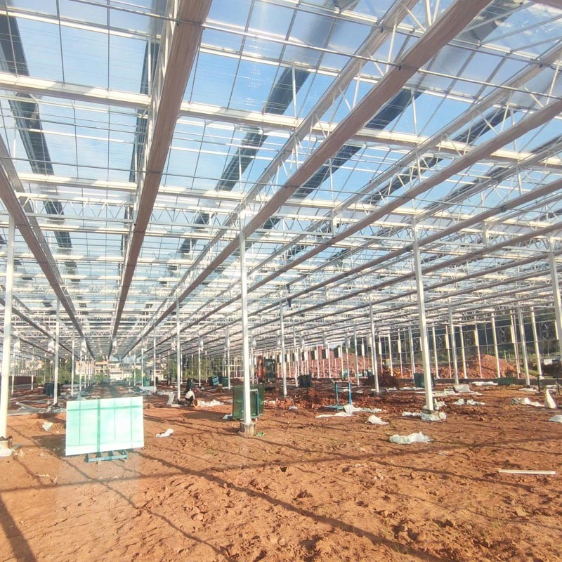 agriculture greenhouse agriculture greenhouse