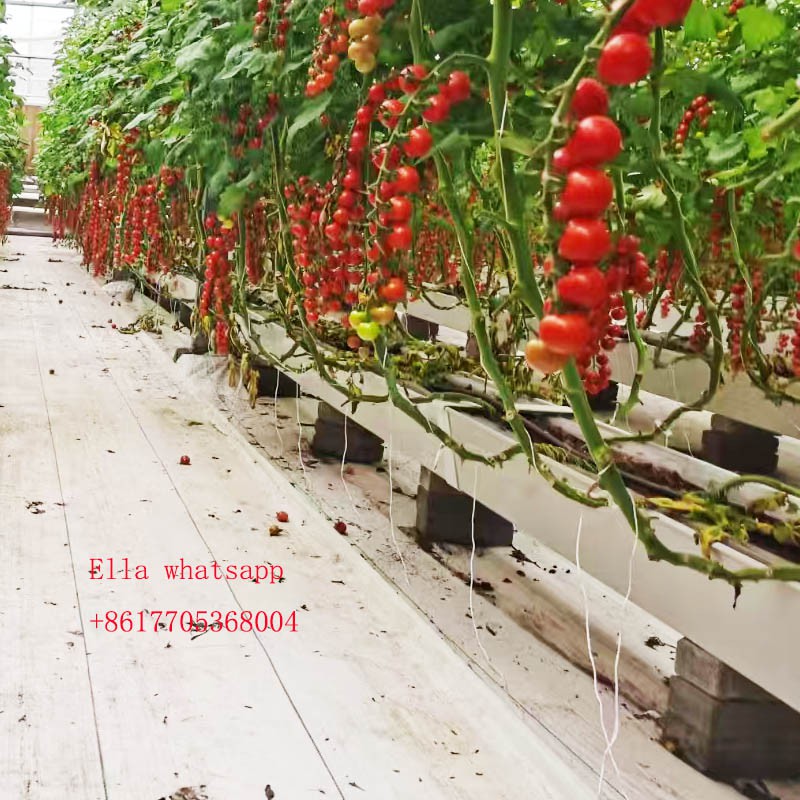 vegetable gutter vegetable gutter